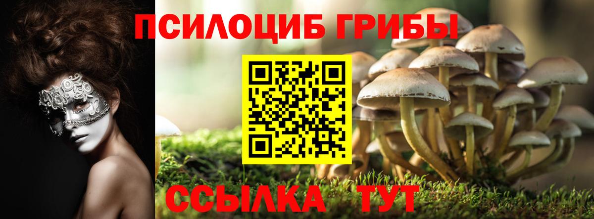 Псилоцибиновые грибы GOLDEN TEACHER Екатеринбург